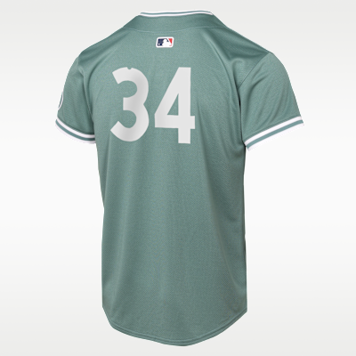 David Ortiz Boston Red Sox Big Kids' Nike Dri-FIT MLB Limited